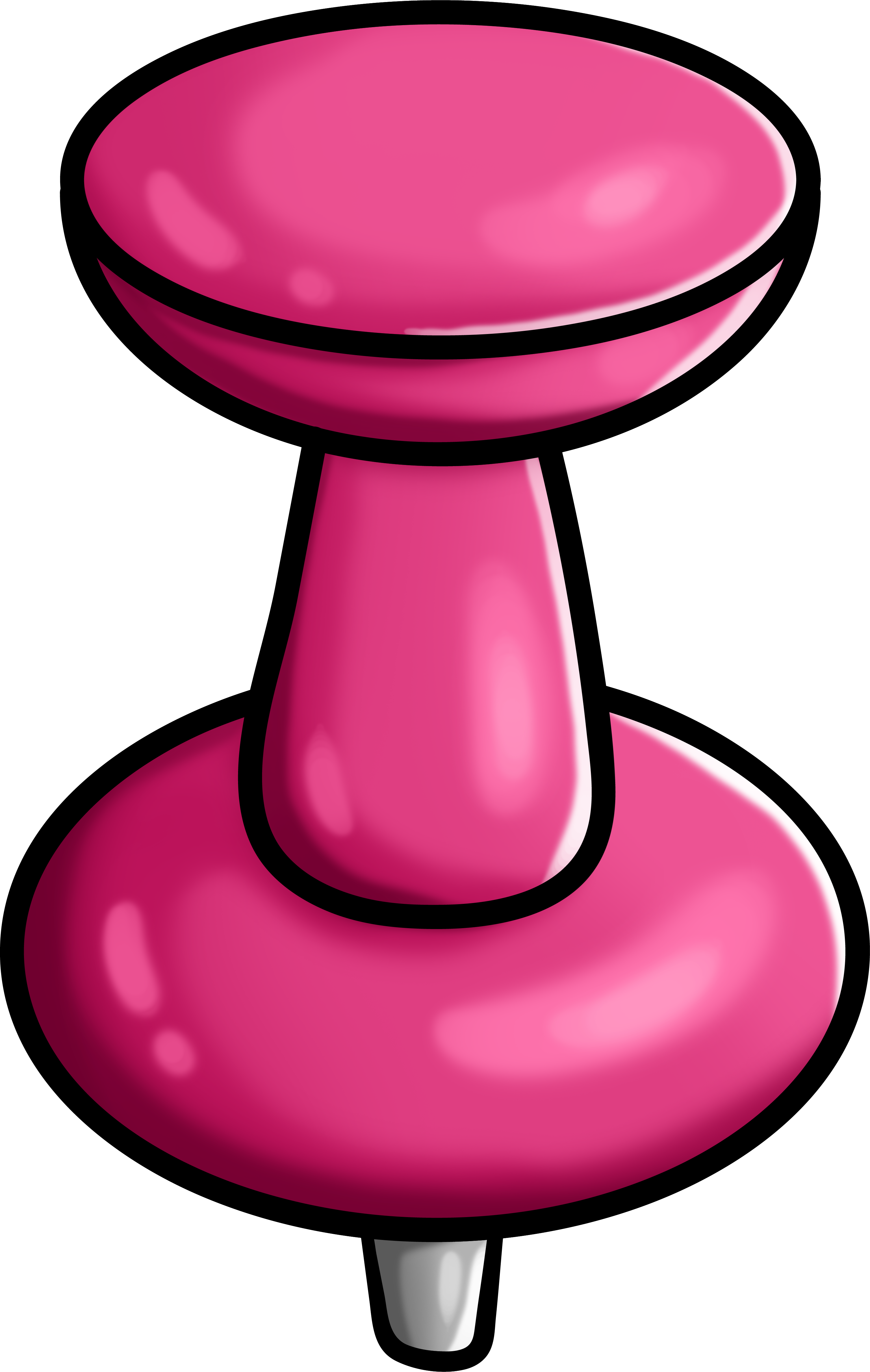 Pin