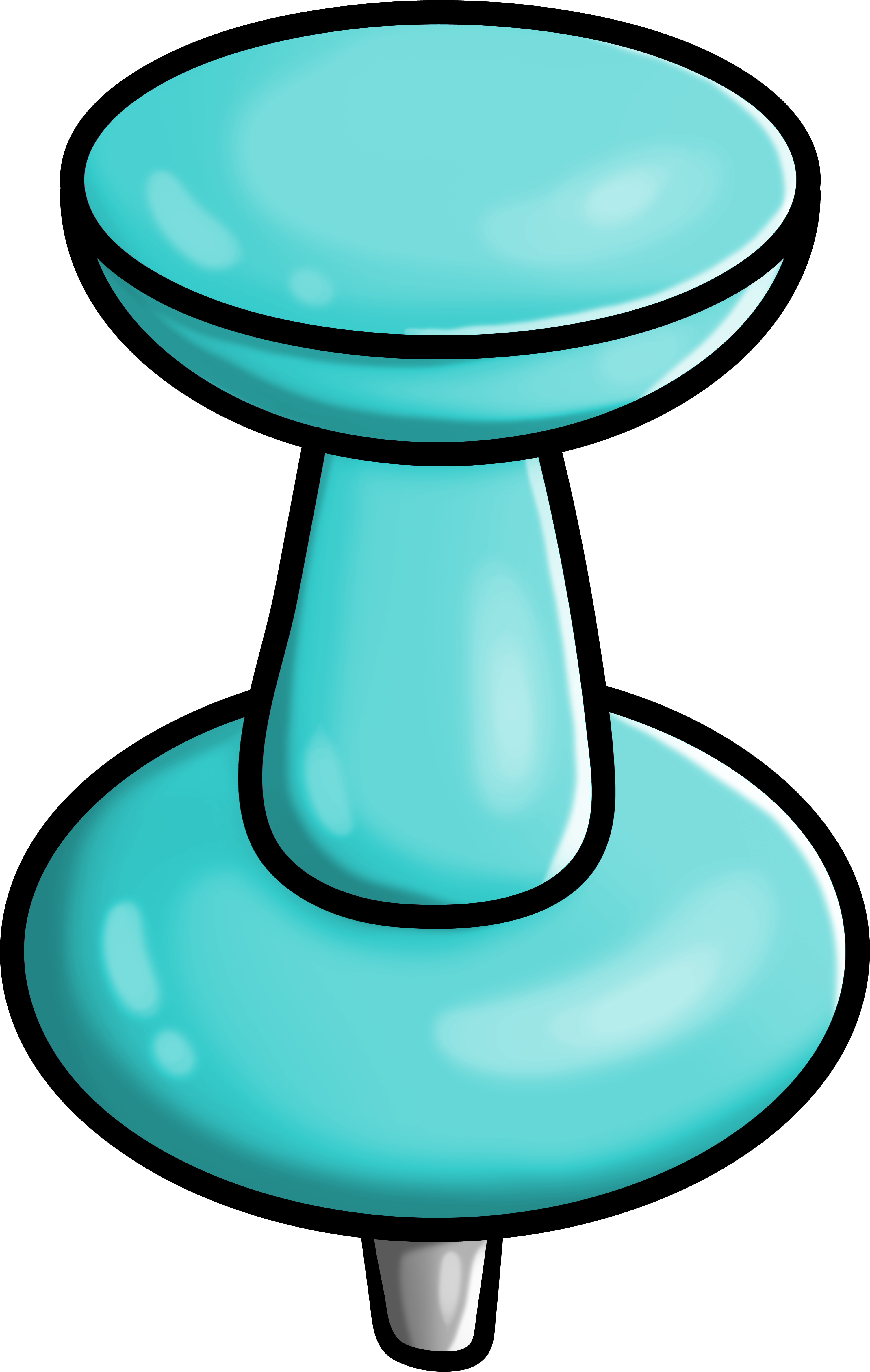 Pin