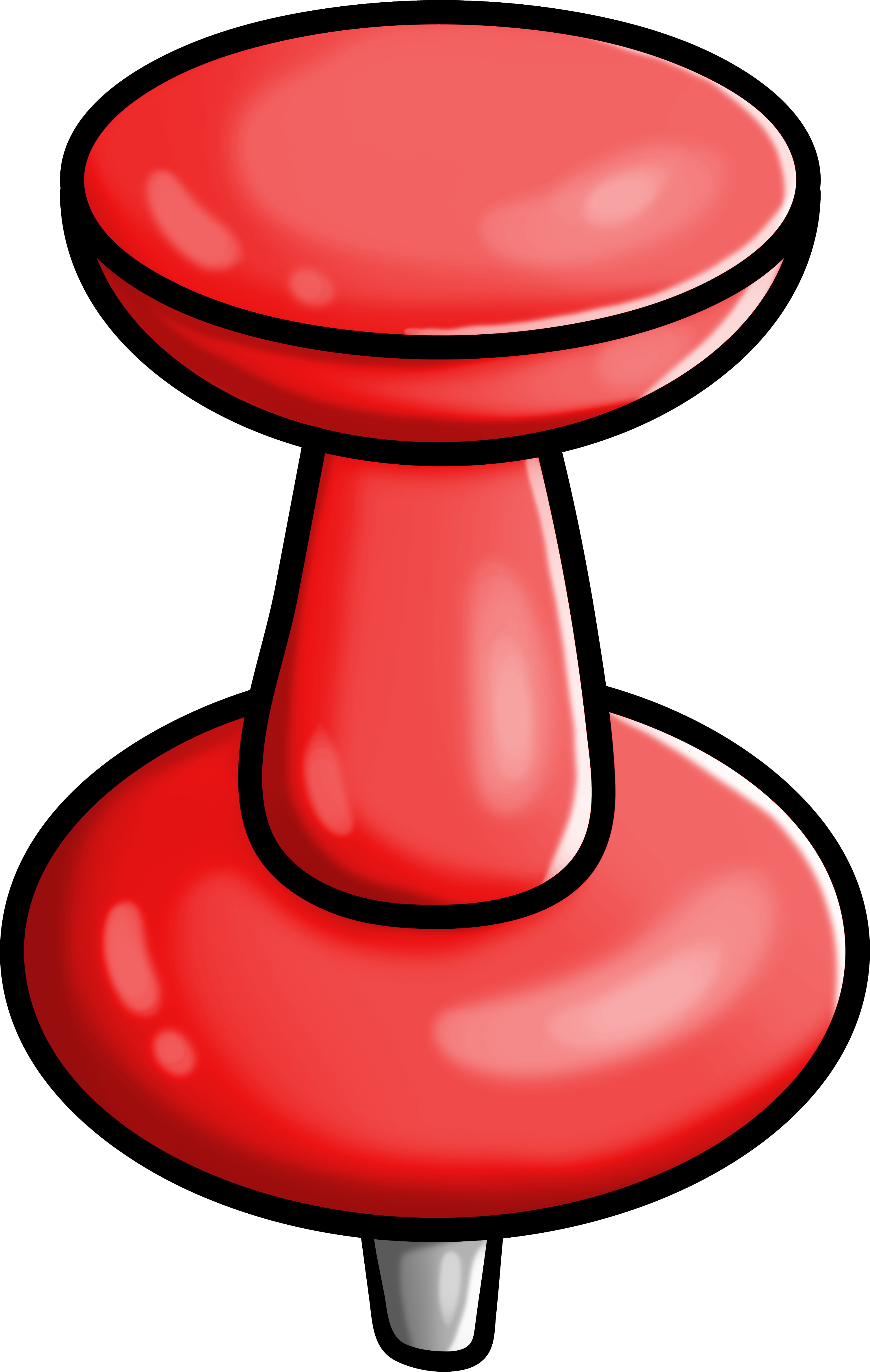 Pin
