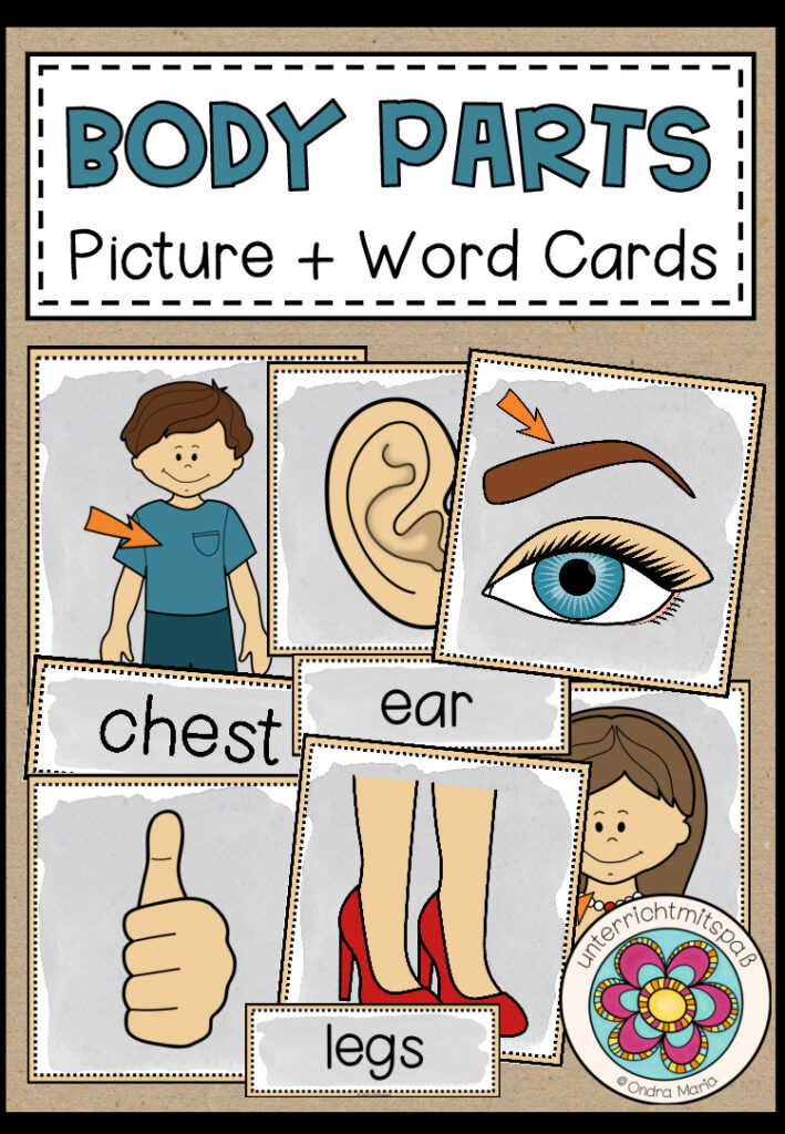 BODY PARTS – Picture + Word Cards