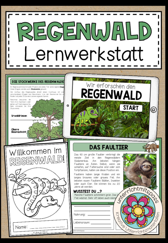 REGENWALD – LERNWERKSTATT