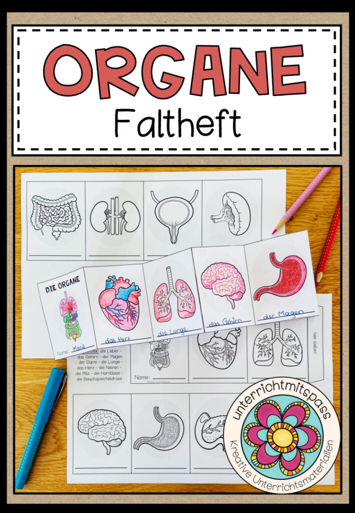 DIE ORGANE – Faltheft/ Leporello
