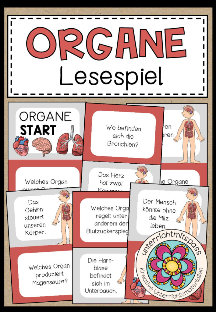 DIE ORGANE – Lesespiel
