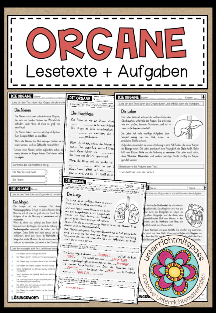 DIE ORGANE – Lesetexte + Aufgaben