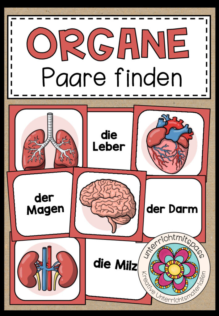 DIE ORGANE – Paare finden