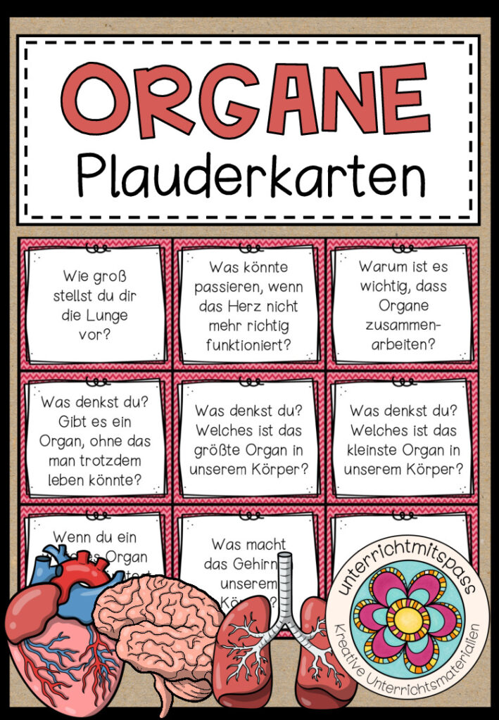 DIE ORGANE – Plauderkärtchen