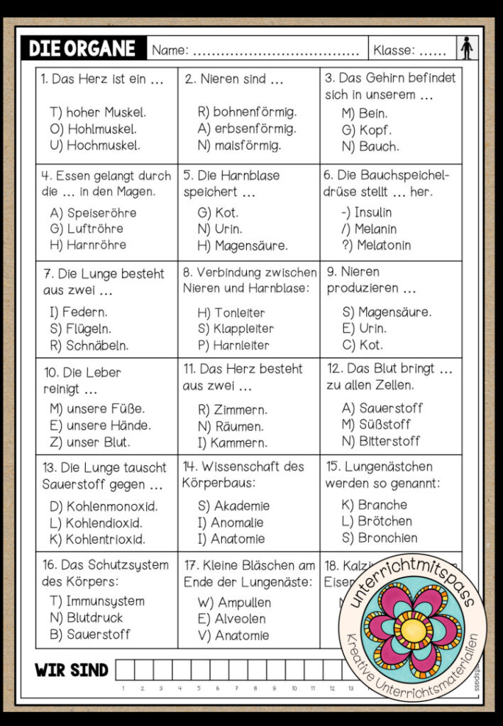 DIE ORGANE – Quiz (Arbeitsblatt)