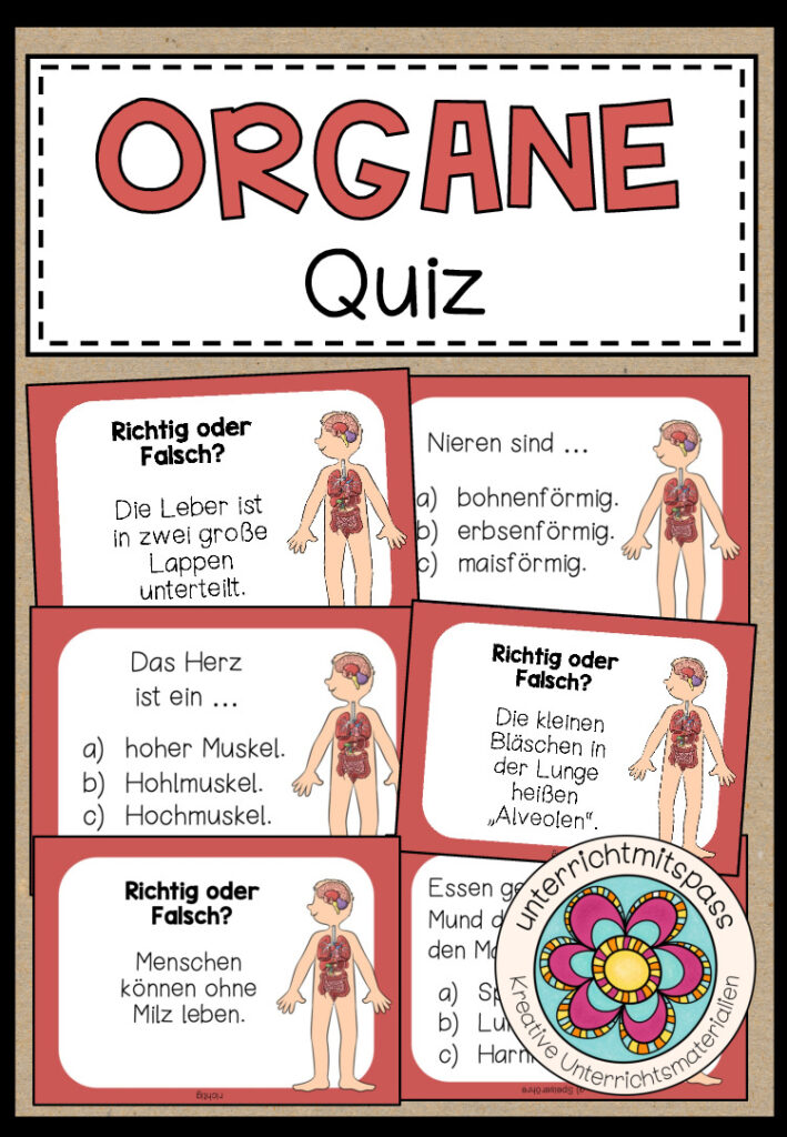 DIE ORGANE – Quiz