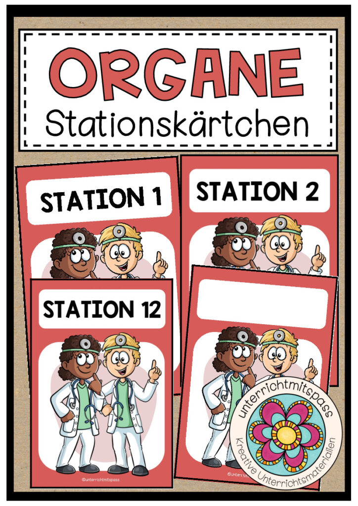 DIE ORGANE – Stationskärtchen