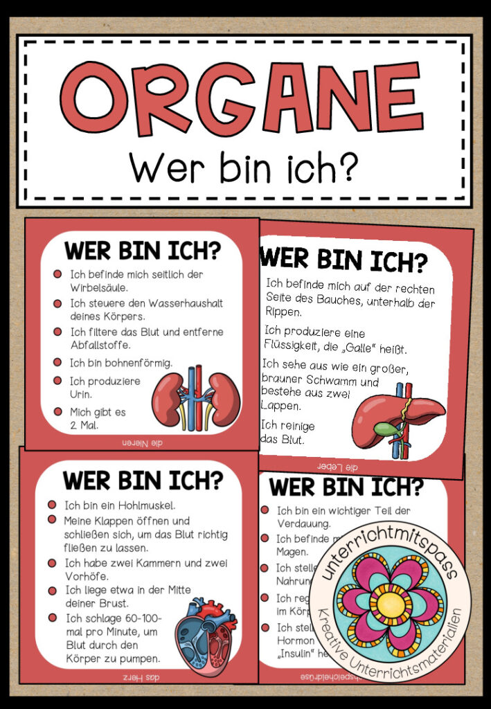 DIE ORGANE – Wer bin ich? (Spiel)