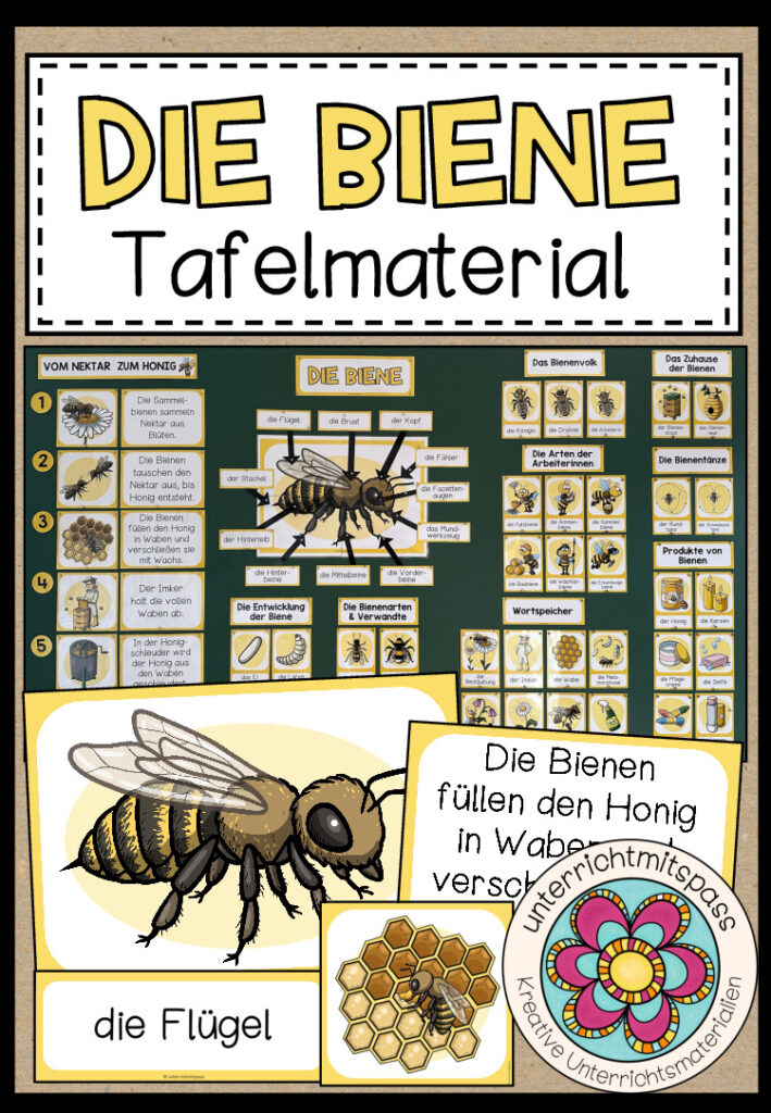 DIE BIENE – Tafelmaterial