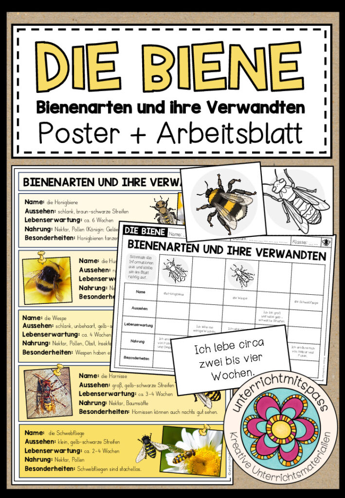 Bienenarten und ihre Verwandten – Poster + Arbeitsblatt (2-fach differenziert)