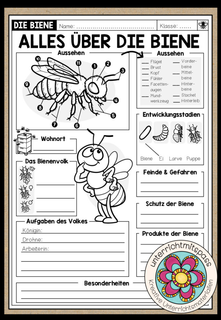 DIE BIENE – Alles über die Biene (Arbeitsblatt)
