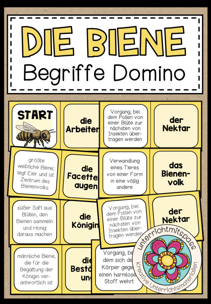 DIE BIENE – Begriffe Domino