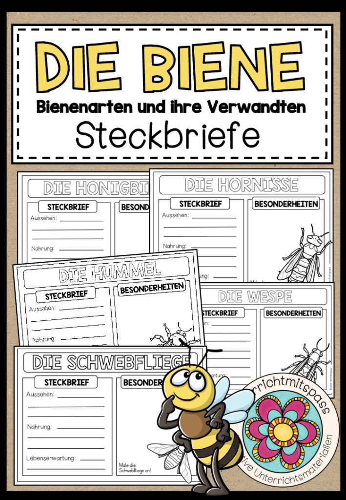 DIE BIENE – Bienenarten und ihre Verwandten (Steckbriefe)