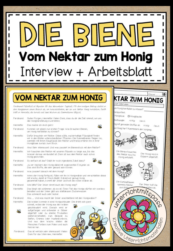 DIE BIENE – Vom Nektar zum Honig (Interview + Arbeitsblatt)