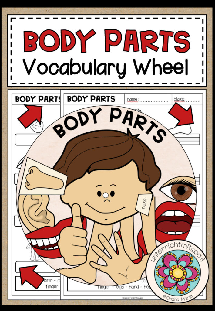 BODY PARTS – Vocabulary Wheel