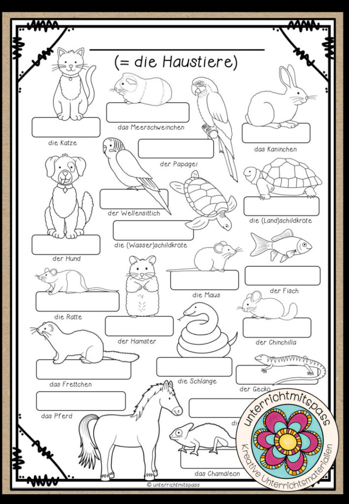 Haustiere – Bildwörterbuch