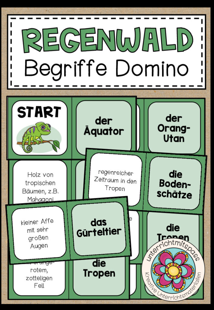 REGENWALD – Begriffe Domino