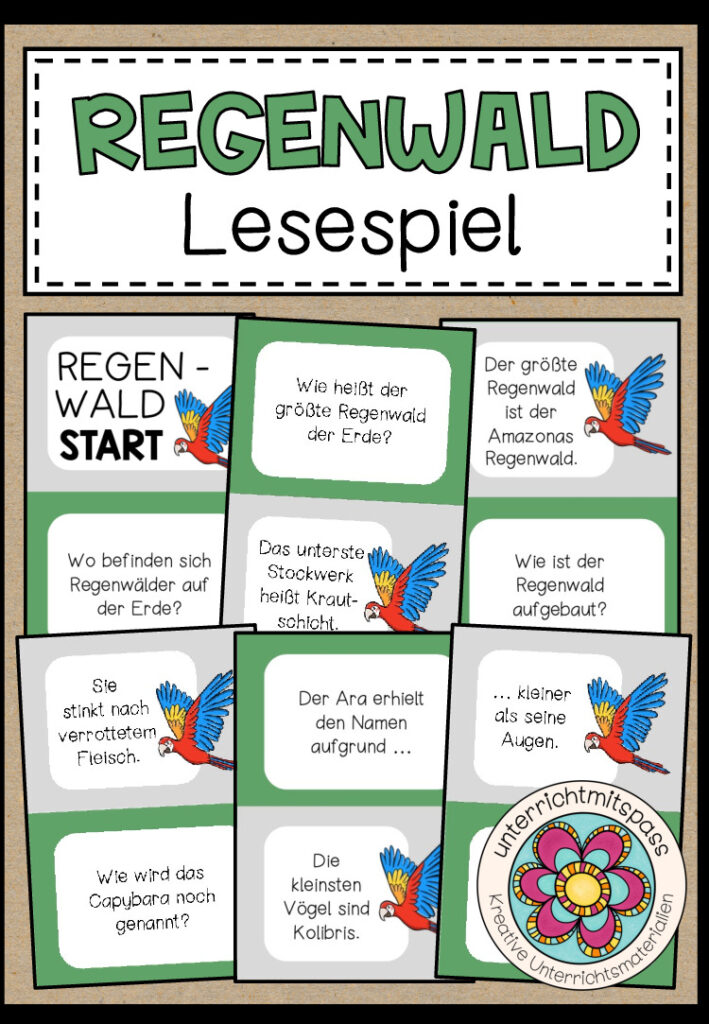 REGENWALD – Lesespiel