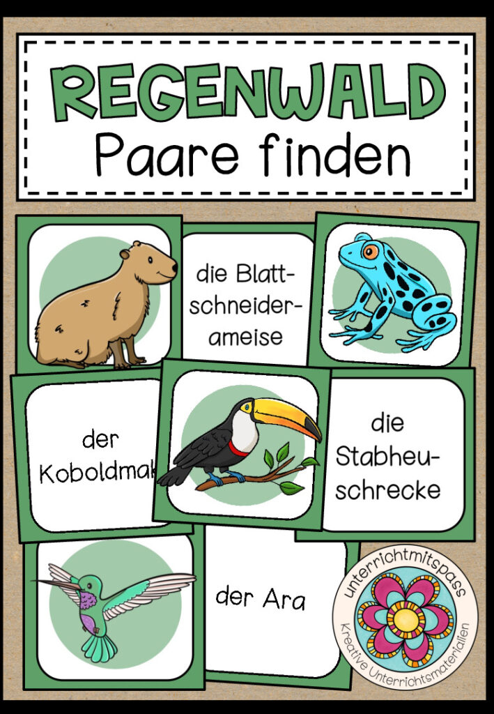 REGENWALD (Tiere im Regenwald) – Paare finden