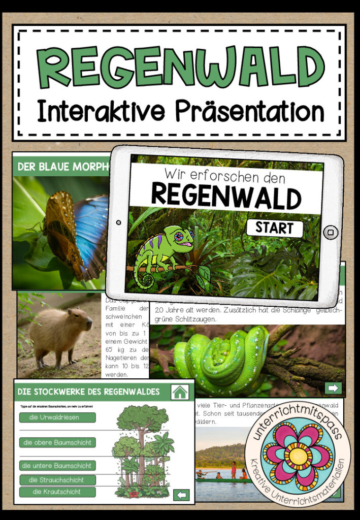 REGENWALD – Interaktive Präsentation