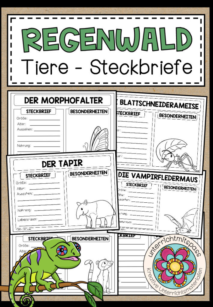 Tiere im Regenwald – Steckbriefe