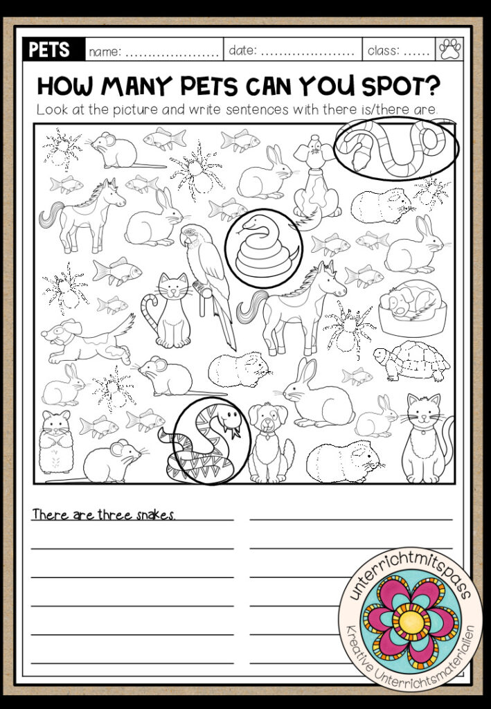 PETS – Regular and Irregular Plural Worksheet (3-fach differenziert)