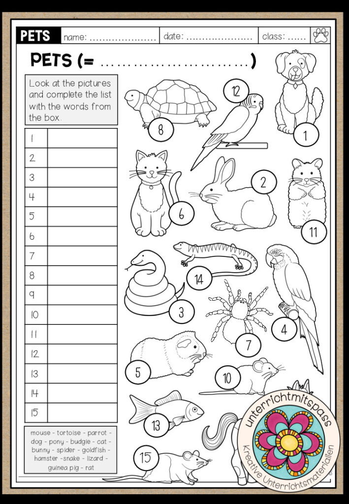 PETS – Vocabulary Work (3-fach differenziert)