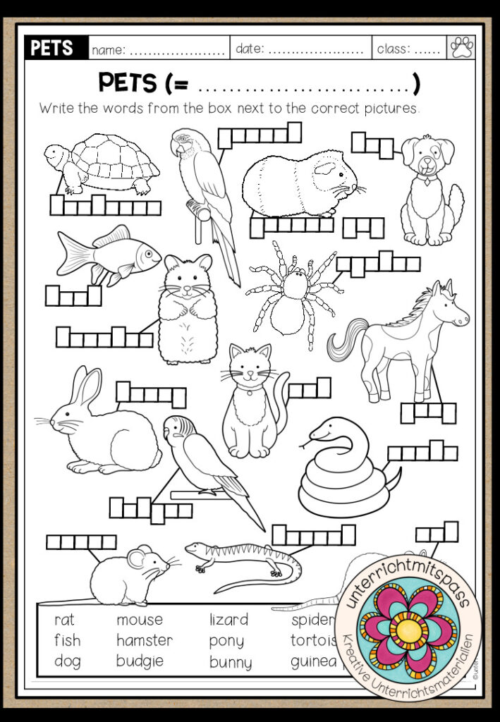 PETS – Vocabulary Worksheet