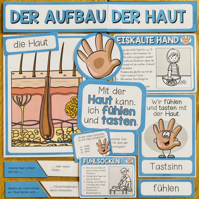 IMG_5567