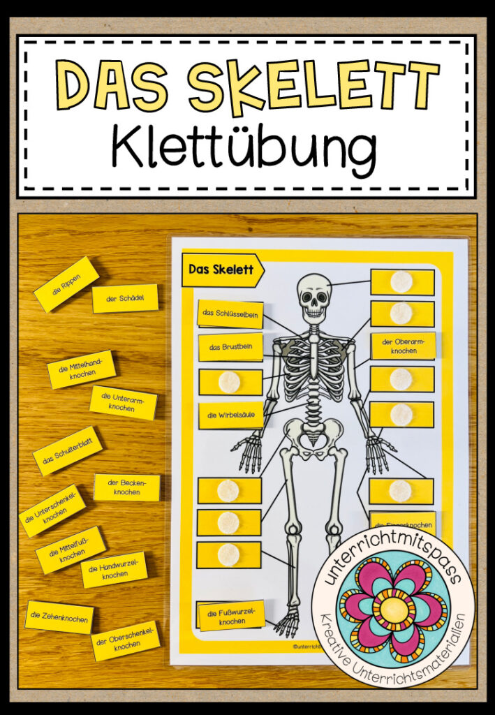 DAS SKELETT – Klettübung / Legeübung