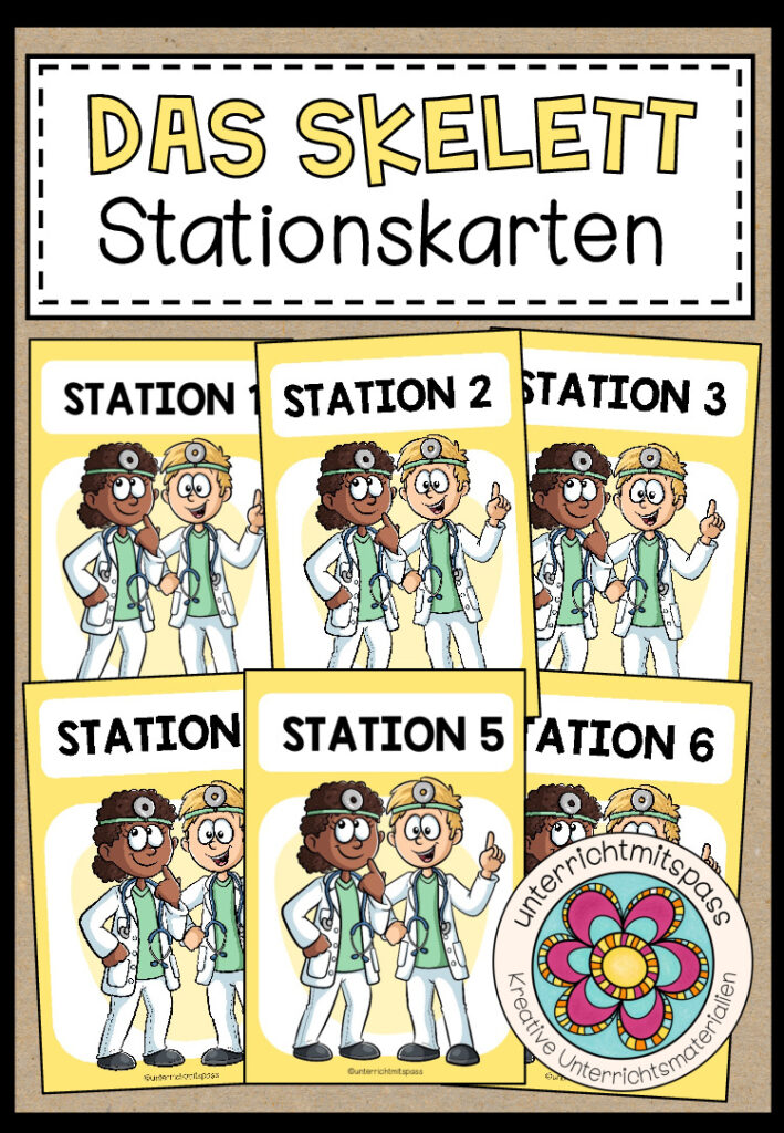 DAS SKELETT – Stationskarten