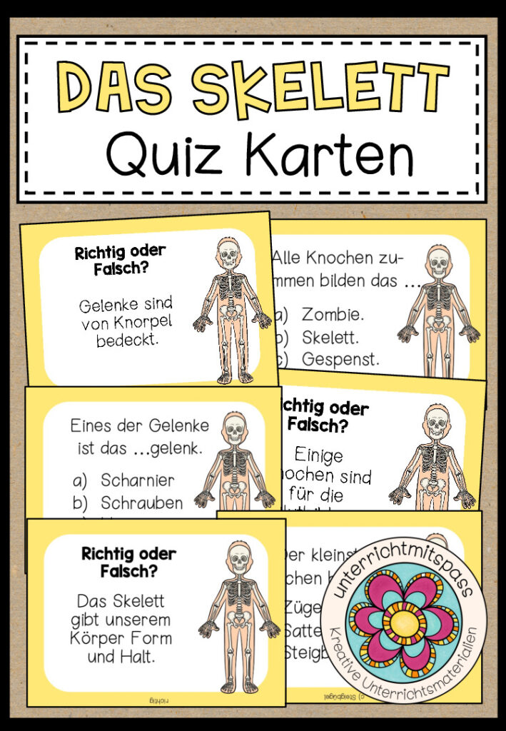DAS SKELETT – Quizkarten
