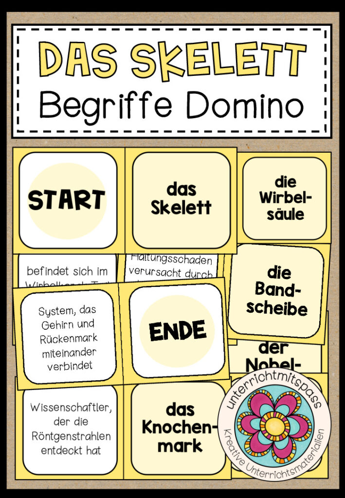 DAS SKELETT – Begriffe Domino
