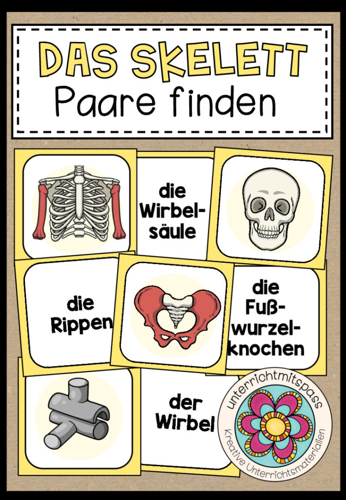DAS SKELETT – Paare finden