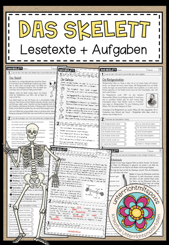 DAS SKELETT – Lesetexte + Aufgaben