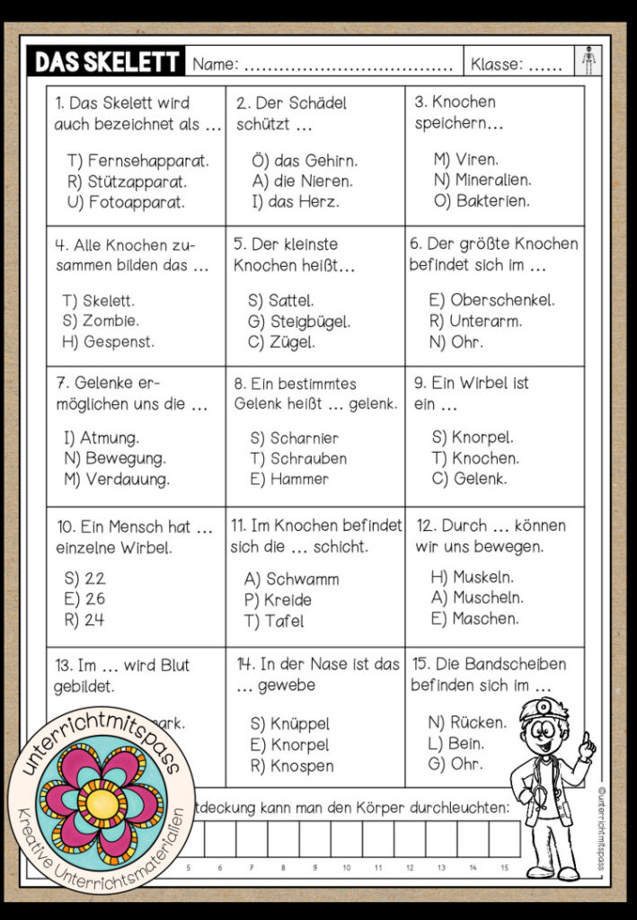 DAS SKELETT – Quiz (Arbeitsblatt)