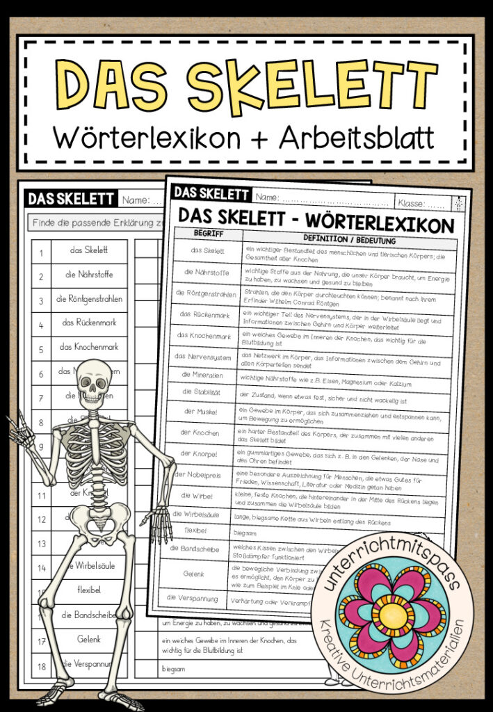 DAS SKELETT – Wörterlexikon + Arbeitsblatt