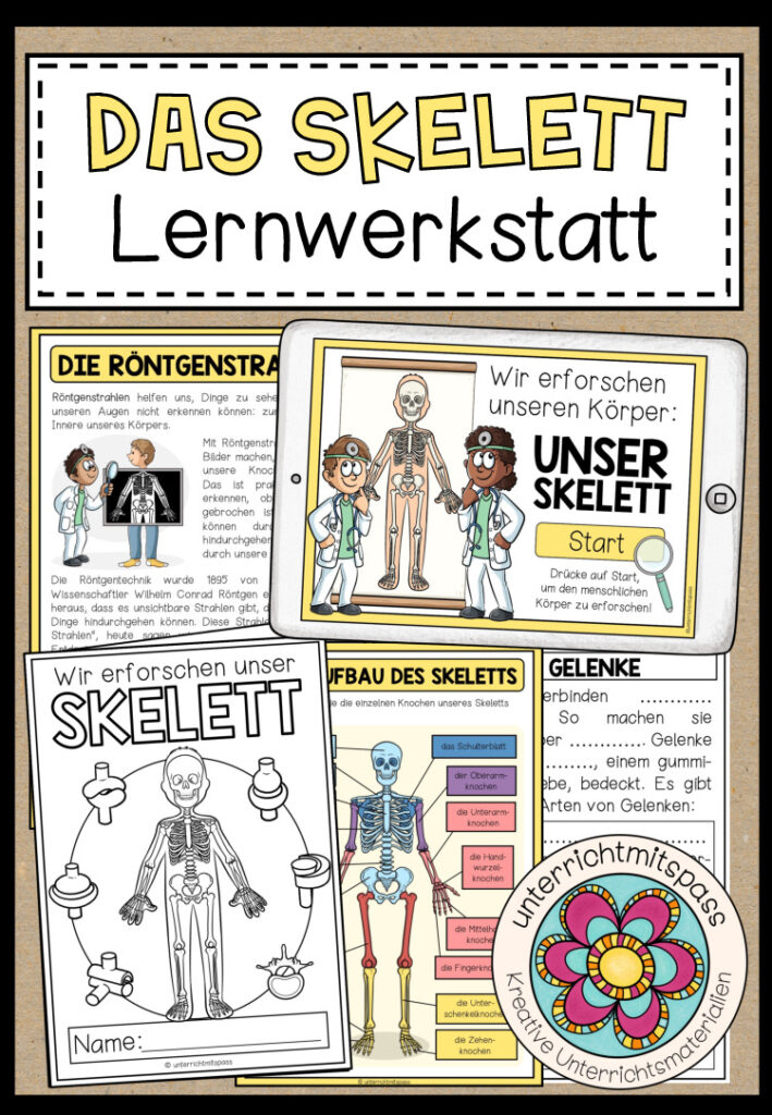 DAS SKELETT – Lernwerkstatt