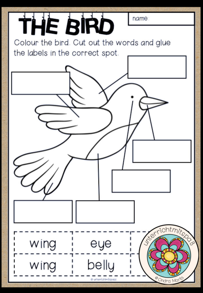 SPRING – The Bird: Cut and Glue