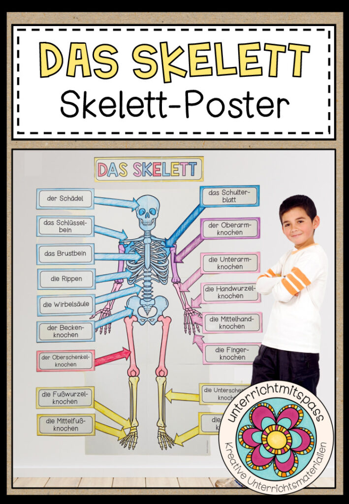 DAS SKELETT – großes Poster zum Beschriften und Basteln