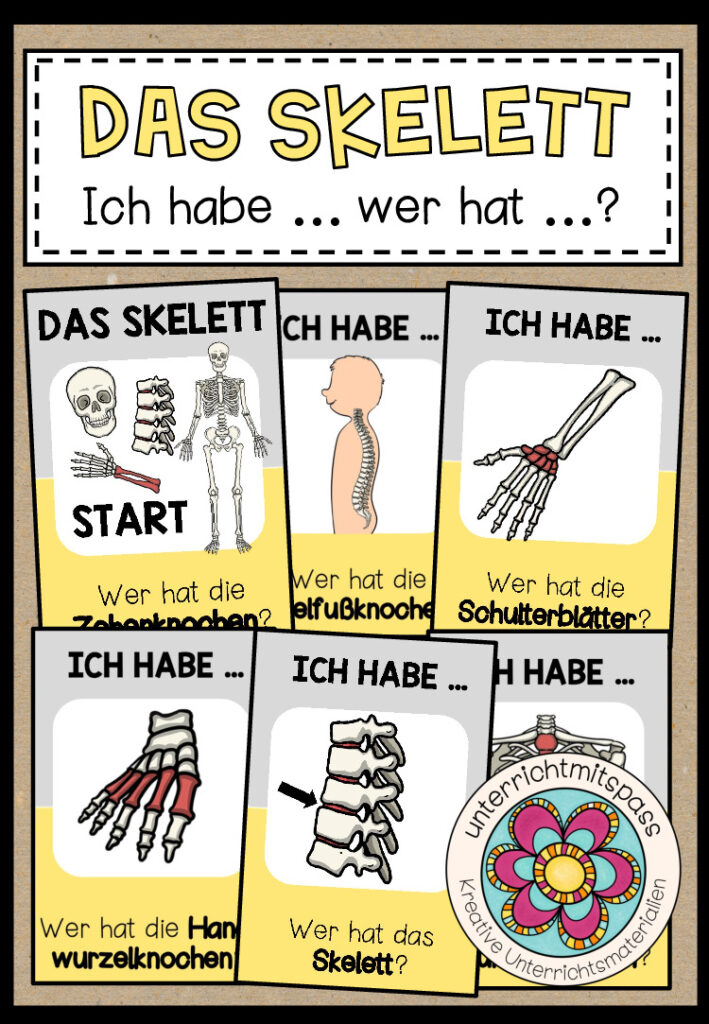 DAS SKELETT – Ich habe … wer hat … ?