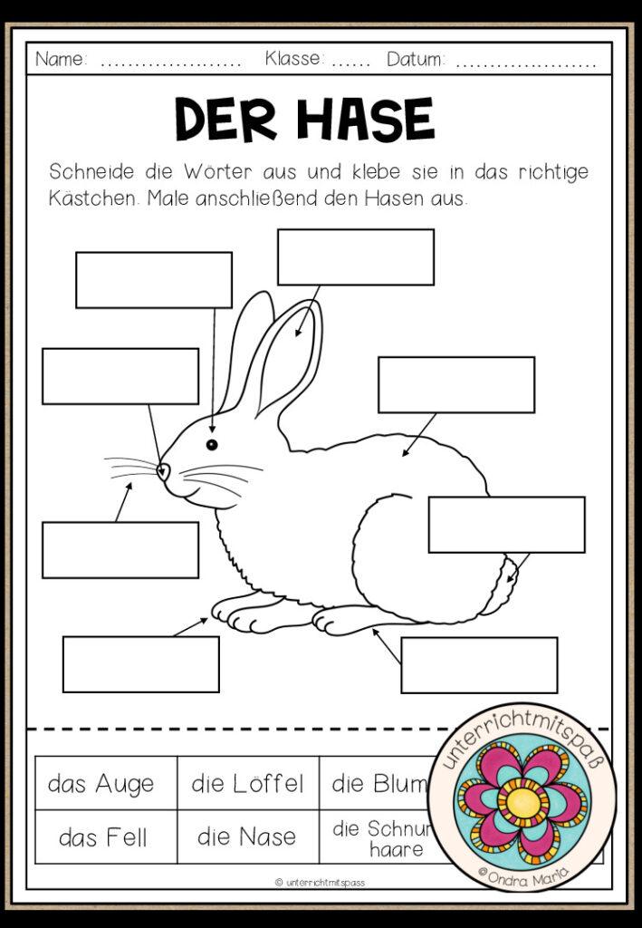 OSTERN: Der Hase – Körperteile zuordnen