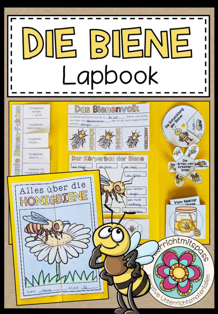Die BIENE – Lapbook