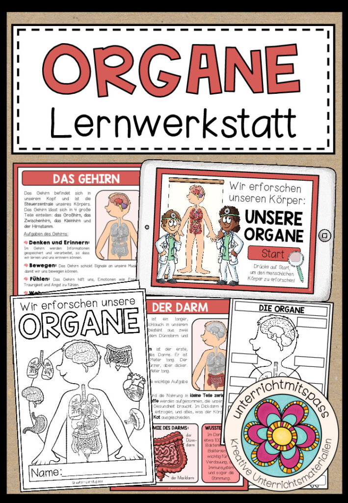 DIE ORGANE – Lernwerkstatt
