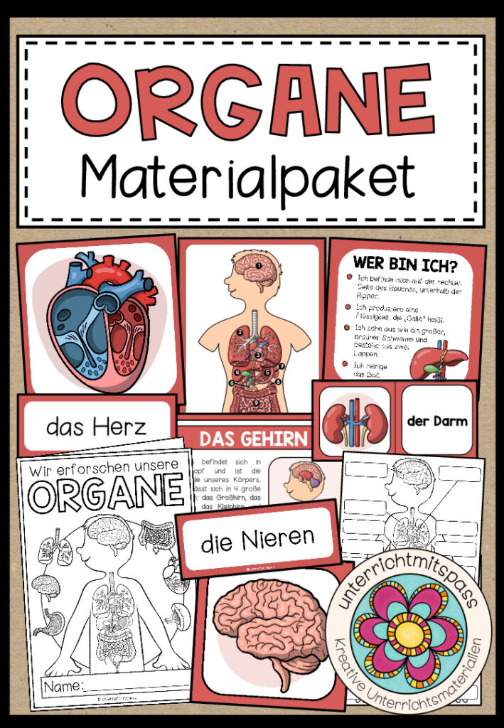DIE ORGANE – Materialpaket