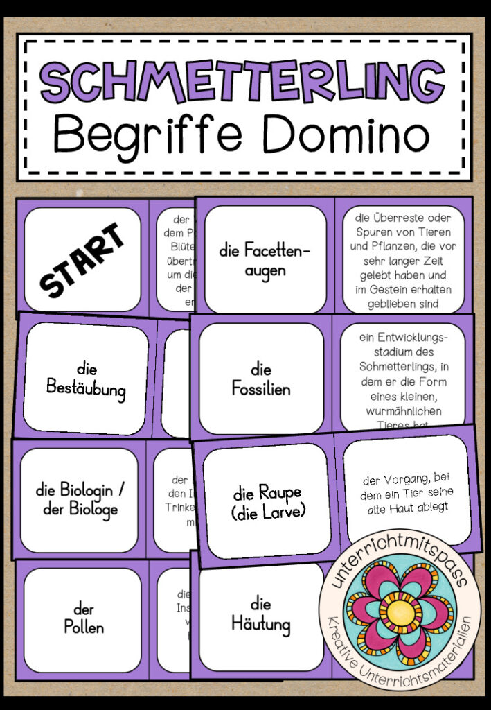 DER SCHMETTERLING – Begriffe Domino