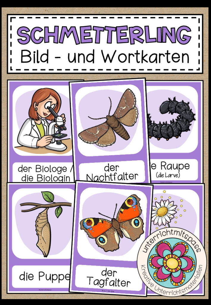 DER SCHMETTERLING – Bild- und Wortkarten