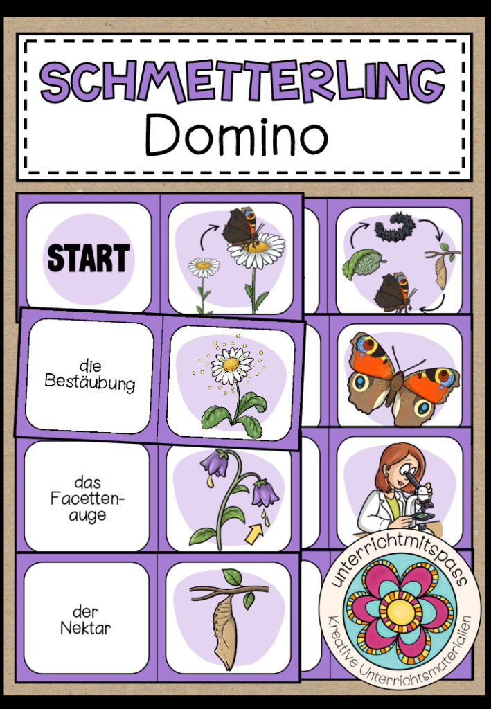 DER SCHMETTERLING – Domino